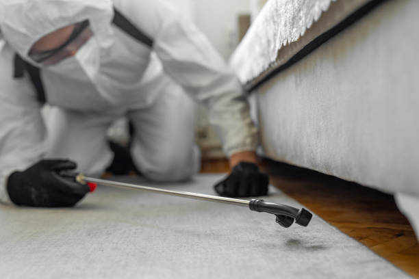 Professional Bed Bug Control technician working in Englewood Cliffs, NJ