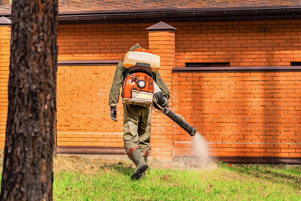 Trusted Bed Bug Control service in Englewood Cliffs, NJ - Nex Pest Control